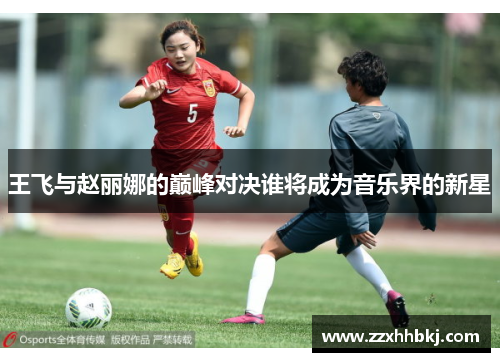 王飞与赵丽娜的巅峰对决谁将成为音乐界的新星