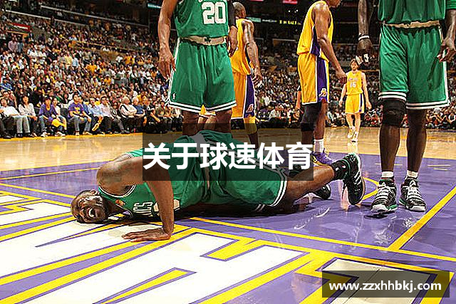 关于球速体育
